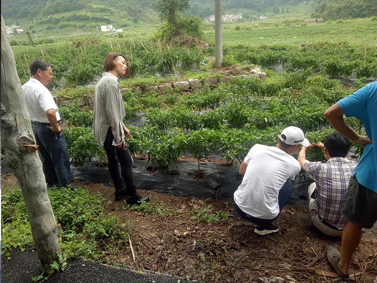 Z6·尊龙凯时「中国区」官方网站