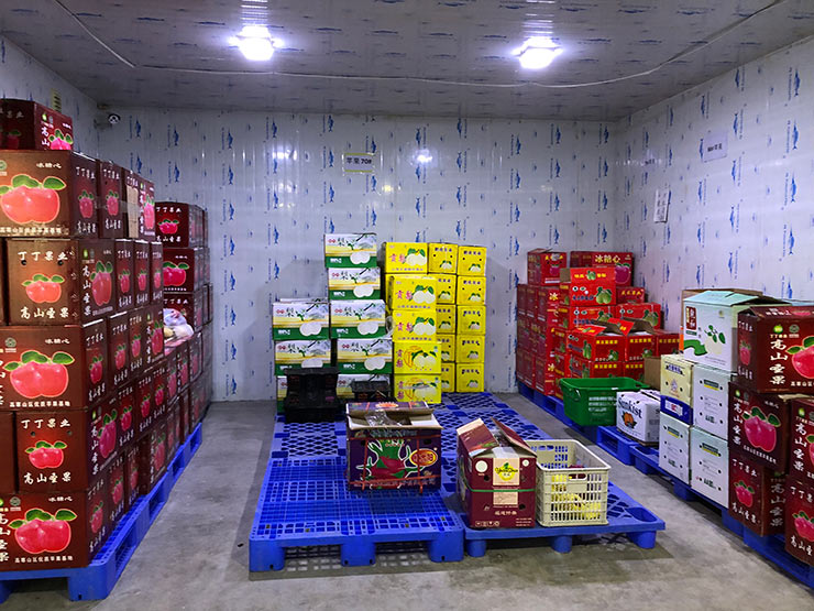 Z6·尊龙凯时「中国区」官方网站