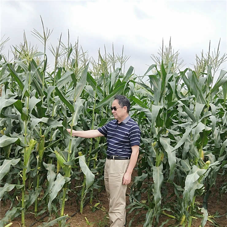 Z6·尊龙凯时「中国区」官方网站