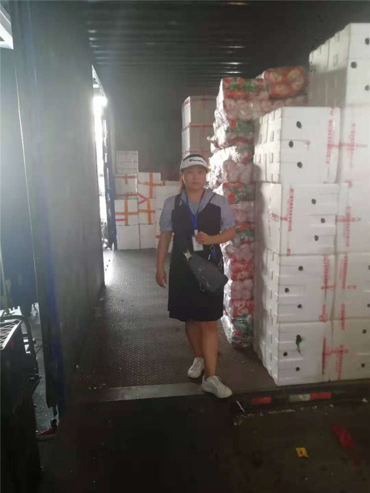 Z6·尊龙凯时「中国区」官方网站