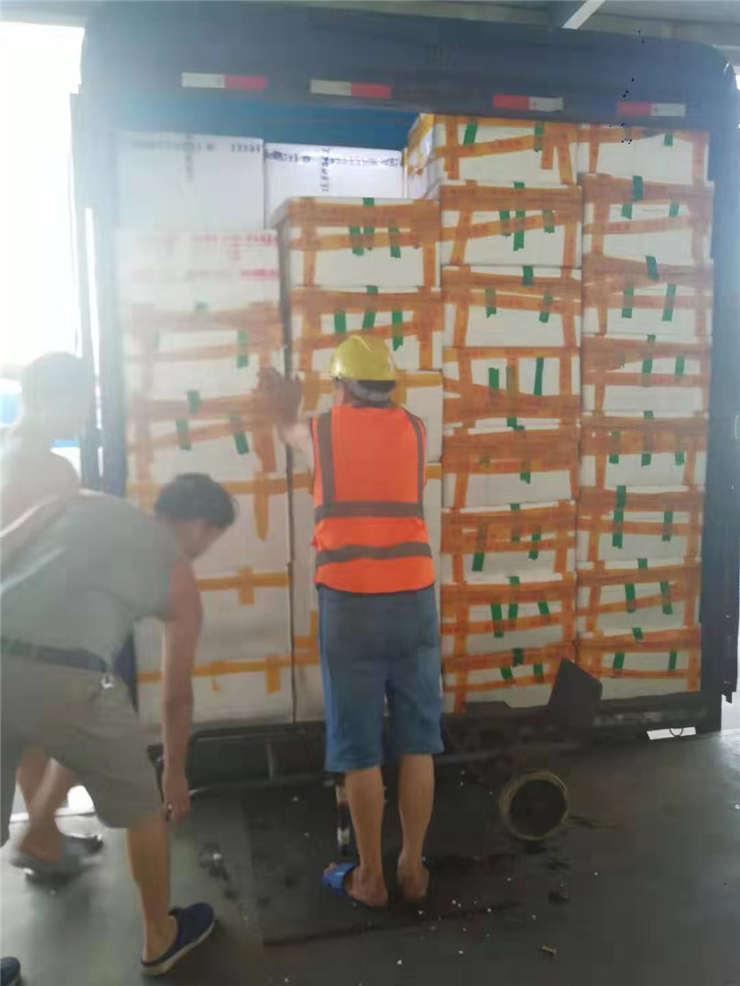 Z6·尊龙凯时「中国区」官方网站