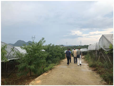 Z6·尊龙凯时「中国区」官方网站