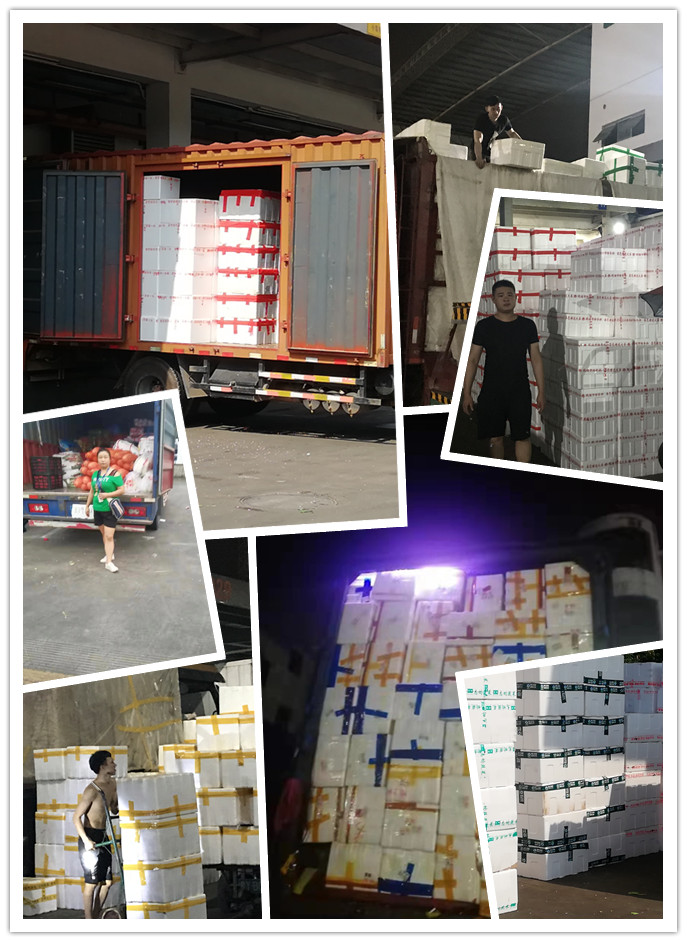 Z6·尊龙凯时「中国区」官方网站