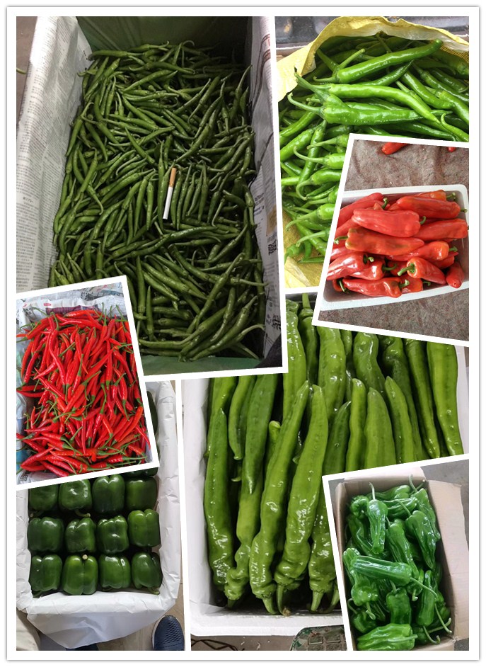 Z6·尊龙凯时「中国区」官方网站