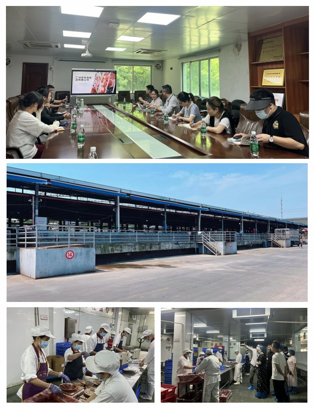 Z6·尊龙凯时「中国区」官方网站